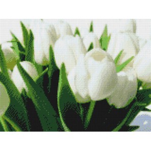 Весенние тюльпаны Алмазная вышивка (мозаика) Sddi Anya
