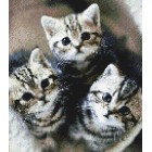 Три котенка Алмазная вышивка (мозаика) Sddi Anya