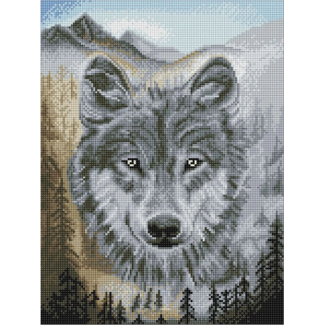  Волк Алмазная вышивка мозаика Color kit DKD1001