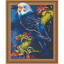 Волнистый попугайчик Алмазная вышивка мозаика Color kit