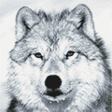 Волк Алмазная вышивка (мозаика) Sddi Anya