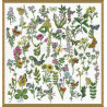 Вариант оформления в рамке Красота Ботаники Набор для вышивания Design works 3424