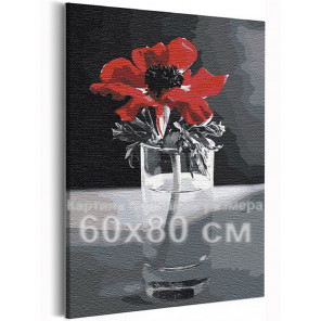  Красный мак на черно-белом фоне / Цветы 60х80 см Раскраска картина по номерам на холсте AAAA-RS391-60x80