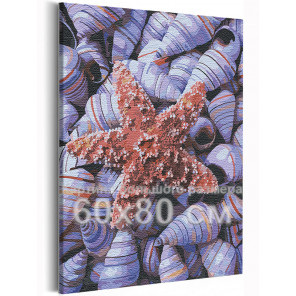 Пример в интерьере Ракушки / Море / Морская тема 60х80 см Раскраска картина по номерам на холсте AAAA-RS231-60x80