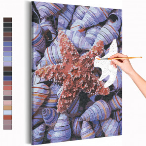 Пример картины и схема Ракушки / Море / Морская тема Раскраска картина по номерам на холсте AAAA-RS231