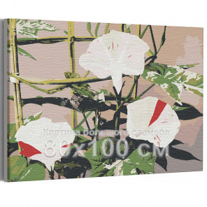  Японский вьюнок / Цветы 80х100 см Раскраска картина по номерам на холсте AAAA-RS228-80x100