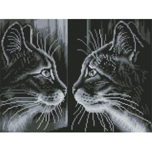  Отражение Алмазная вышивка мозаика Белоснежка 901-GT-S