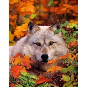 Волк в листве Алмазная вышивка (мозаика) Diy