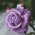 Фиолетовая роза Алмазная вышивка мозаика на подрамнике Molly
