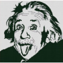 Альберт Эйнштейн Ткань с рисунком для вышивания бисером Конек