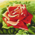 Красная роза Ткань с рисунком для вышивания Матренин Посад
