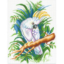 Белый попугай Канва с рисунком для вышивания МП Студия