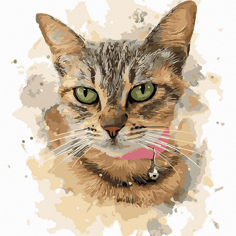 Черепашья раскраска кошки