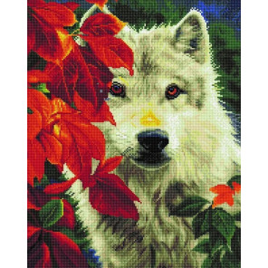  Волк в осеннем лесу Алмазная вышивка мозаика Арт Фея UA370