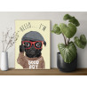 Пример в интерьере Стильный мопс в очках / Собаки / Животные Раскраска картина по номерам на холсте AAAA-V0014