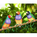 Три попугая Ткань с рисунком для вышивки бисером МП Студия