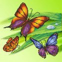 Трио бабочек Ткань с рисунком для вышивки бисером МП Студия
