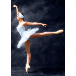 Прима-Балерина Алмазная вышивка (мозаика) Гранни