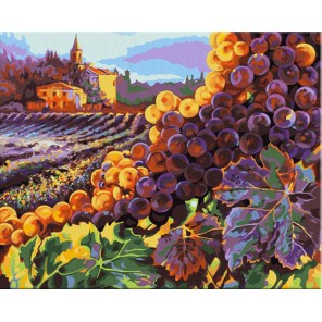 Тосканский урожай Раскраска картина по номерам акриловыми красками Plaid