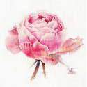 Акварельные розы. Розовая изысканная Набор для вышивания Алиса
