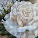 Роза белая Алмазная вышивка мозаика АртФея