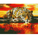Леопард в ожидании Алмазная вышивка мозаика без подрамника