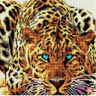 Леопард Алмазная вышивка (мозаика) стразами Molly