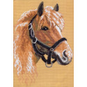 Белая лошадь Ткань с рисунком для вышивания Матренин Посад