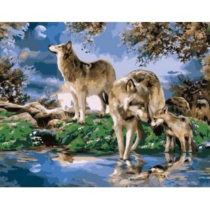 Волчья семья Раскраска по номерам акриловыми красками на холсте Живопись по номерам (Paintboy)