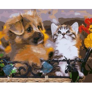 Котенок и щенок Раскраска по номерам акриловыми красками на холсте Живопись по номерам (Paintboy)