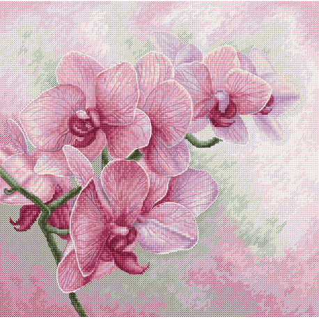  Изящные орхидеи Набор для вышивания Luca-S B7009