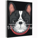 Бульдог / Животные, собаки 100х125 см Раскраска картина по номерам на холсте