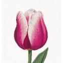 Сиреневый тюльпан Набор для вышивания Thea Gouverneur