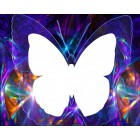 Область выкладки Бабочка Алмазная частичная вышивка мозаика на подрамнике Color Kit