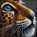 Синеглазый леопард Алмазная вышивка мозаика Алмазная живопись