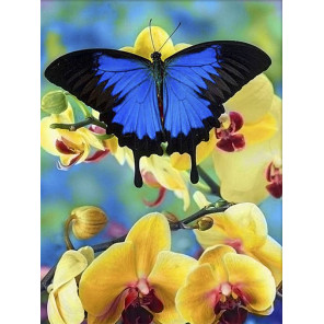  Бабочка и орхидеи Алмазная вышивка мозаика Алмазная живопись АЖ-4025