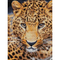 Взгляд леопарда Алмазная вышивка мозаика Алмазная живопись