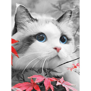  Голубоглазый котенок Раскраска картина по номерам на холсте ME1153