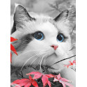Голубоглазый котенок Раскраска картина по номерам на холсте