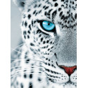 Взгляд леопарда Раскраска картина по номерам на холсте
