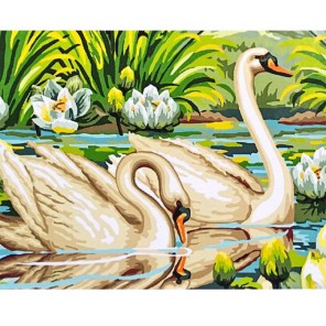 Пара лебедей Раскраска картина по номерам акриловыми красками на холсте Molly