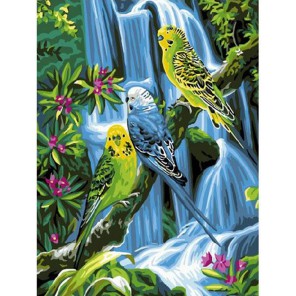 Волнистые попугайчики Раскраска картина по номерам акриловыми красками на холсте Molly