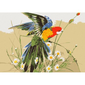 Попугай в полевых цветах Раскраска картина по номерам акриловыми красками на холсте Menglei