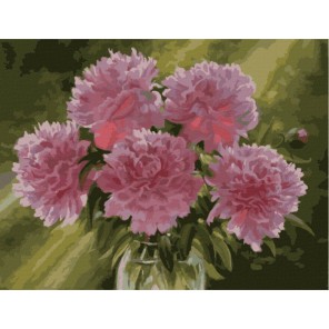 Розовые пионы в вазе Раскраска картина по номерам акриловыми красками на холсте Menglei