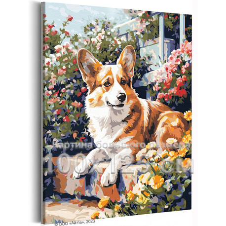 Корги в цветах Собаки Животные Лето Природа 100х125 Раскраска картина по номерам на холсте