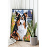 Портрет бордер-колли на природе Собаки Животные Лето Раскраска картина по номерам на холсте