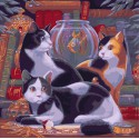 Три умные кошки Раскраска картина по номерам на холсте Color Kit