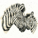 Racing Stripes Набор для вышивания Bothy Threads