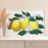 Веточка лимона с плодами и цветами Фрукты Для детей Детская Для девочек Маленькая Простая Раскраска картина по номерам на холсте