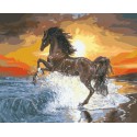 Конь и морской прибой Раскраска картина по номерам на холсте